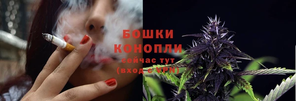 spice Кулебаки