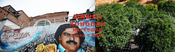 каннабис Куйбышев