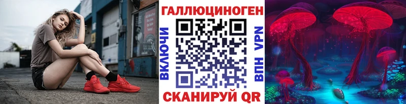 где купить наркоту  Хадыженск  Псилоцибиновые грибы Psilocybine cubensis 