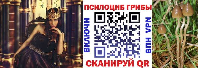 Галлюциногенные грибы прущие грибы Хадыженск